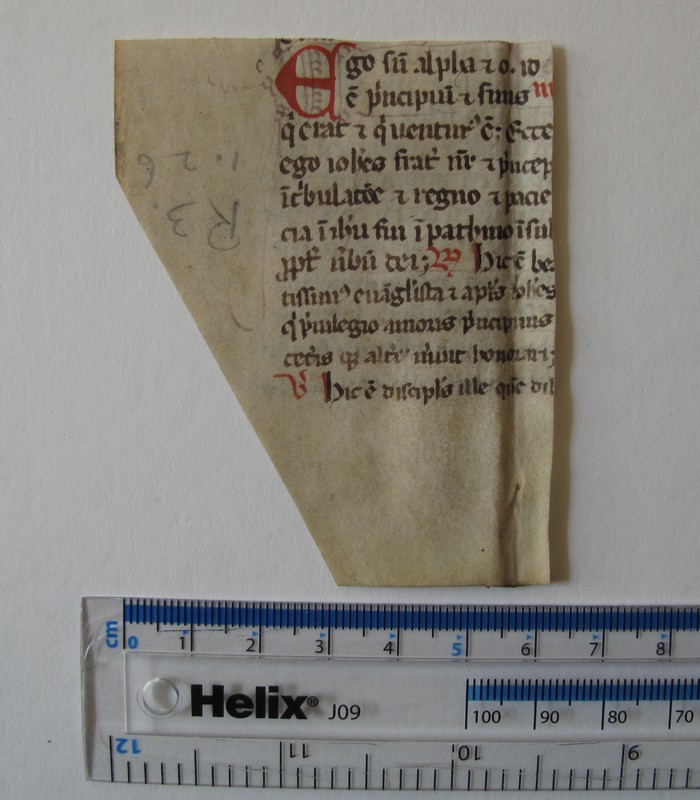 IMG_6734.JPG IMG_6734.JPG