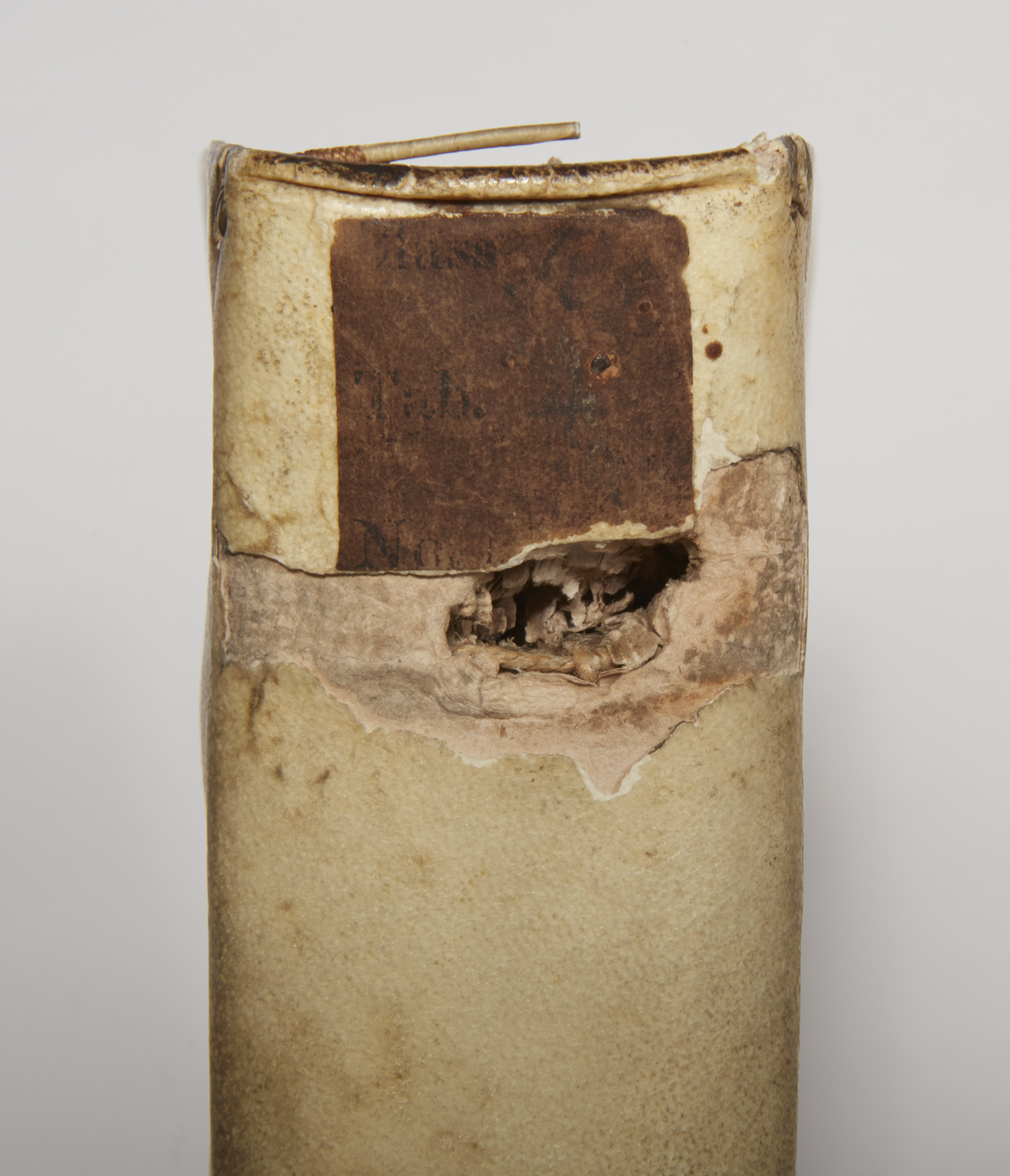 5-R5.4.34 alone 5A.jpg