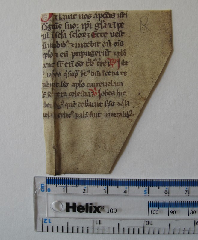 IMG_6732.JPG IMG_6732.JPG