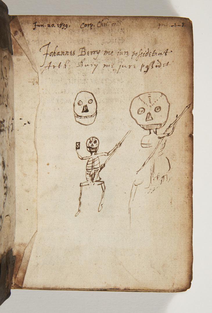 Skull A.jpg