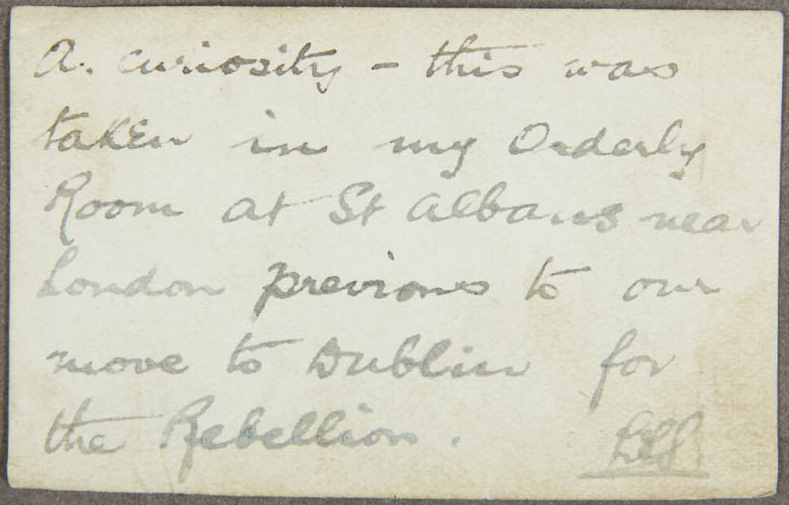 For the Rebellion.jpg