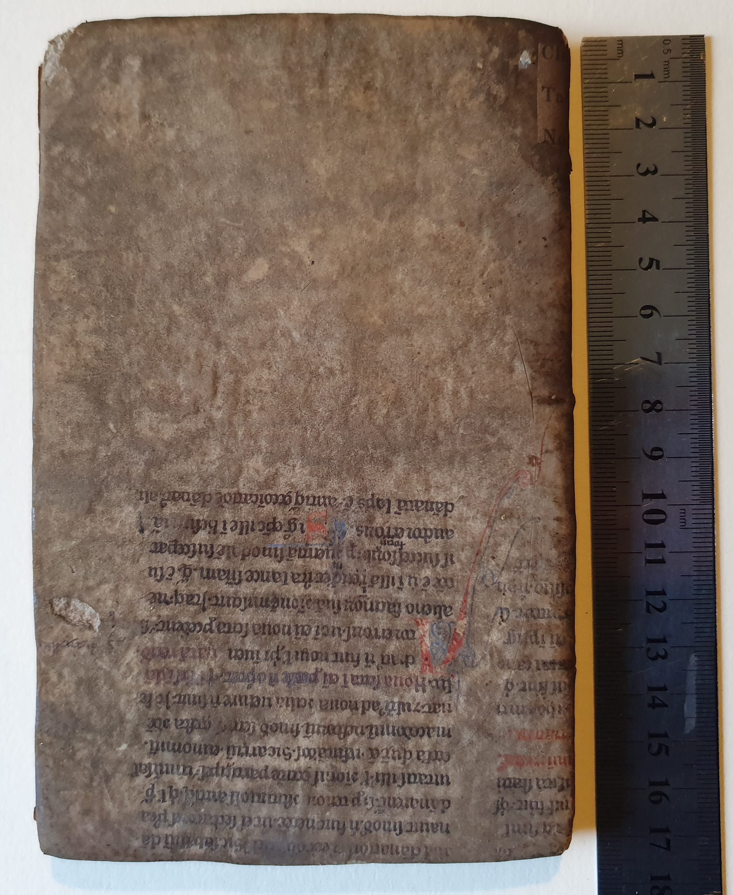 R3.9.4 rear board.jpg