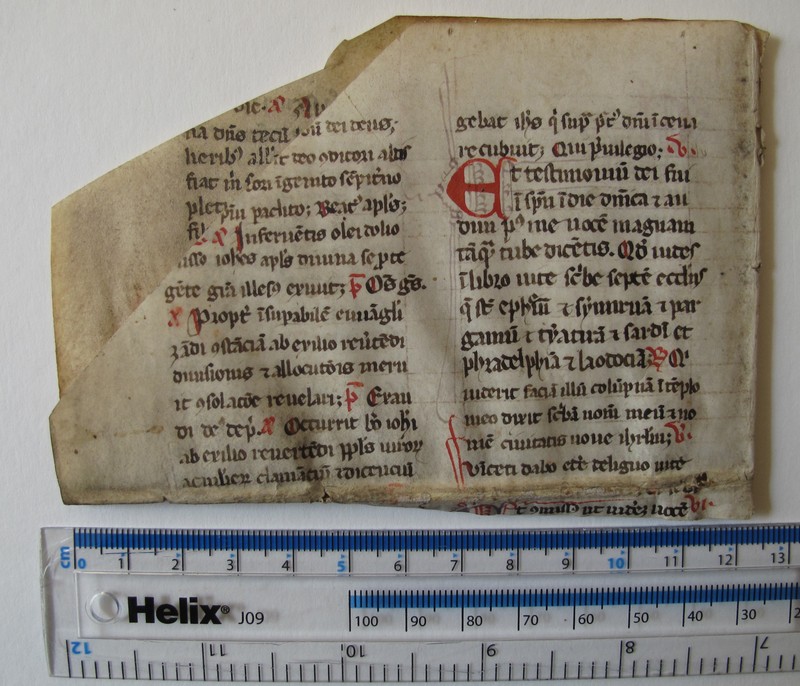 IMG_6731.JPG IMG_6731.JPG