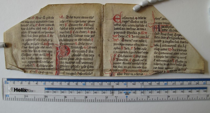 IMG_6730.JPG IMG_6730.JPG